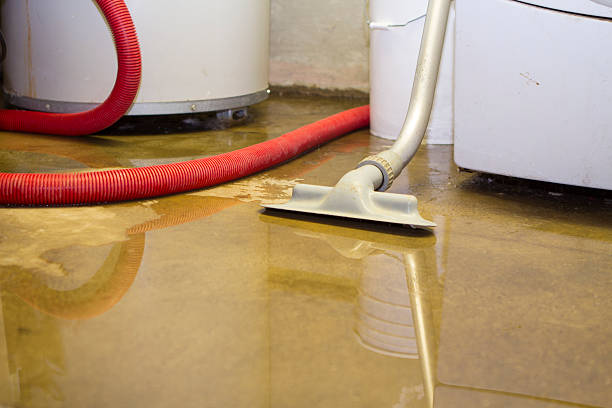 Best Ceiling water damage repair  in South Riding, VA