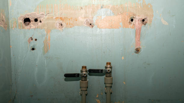 Best Basement water damage restoration  in South Riding, VA