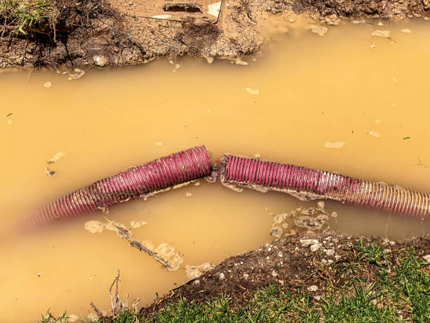 Carpet water damage restoration in South Riding, VA