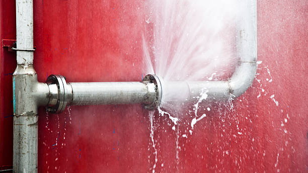 Best Mold removal after water damage  in South Riding, VA